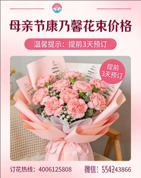 三明将乐县花店母亲节康乃馨花束