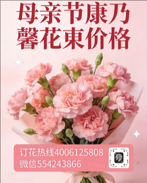 三明将乐县花店母亲节康乃馨花束